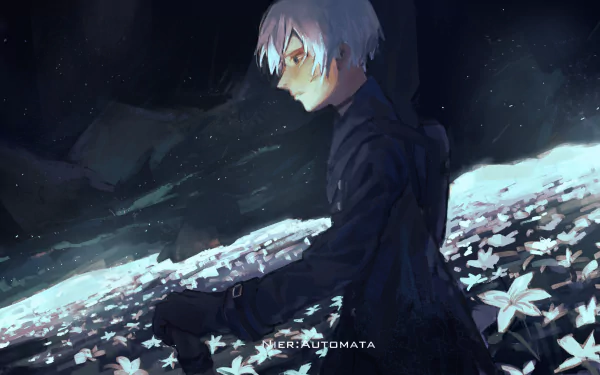 YoRHa No.9 Type S video game NieR: Automata HD Desktop Wallpaper | Background Image