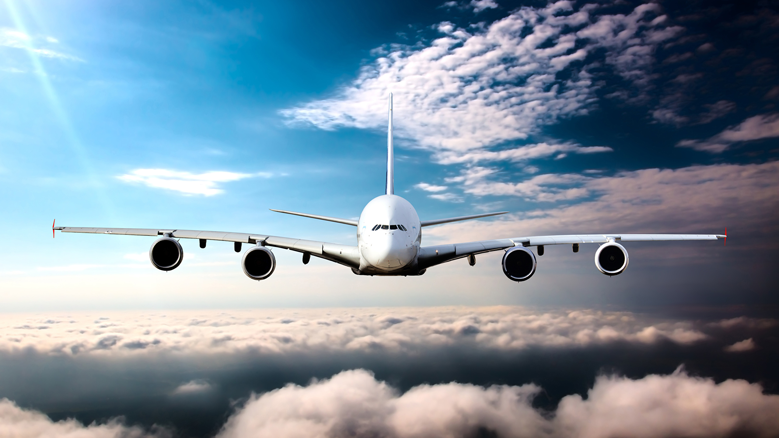 Vehicles Airplane HD Wallpaper | Background Image