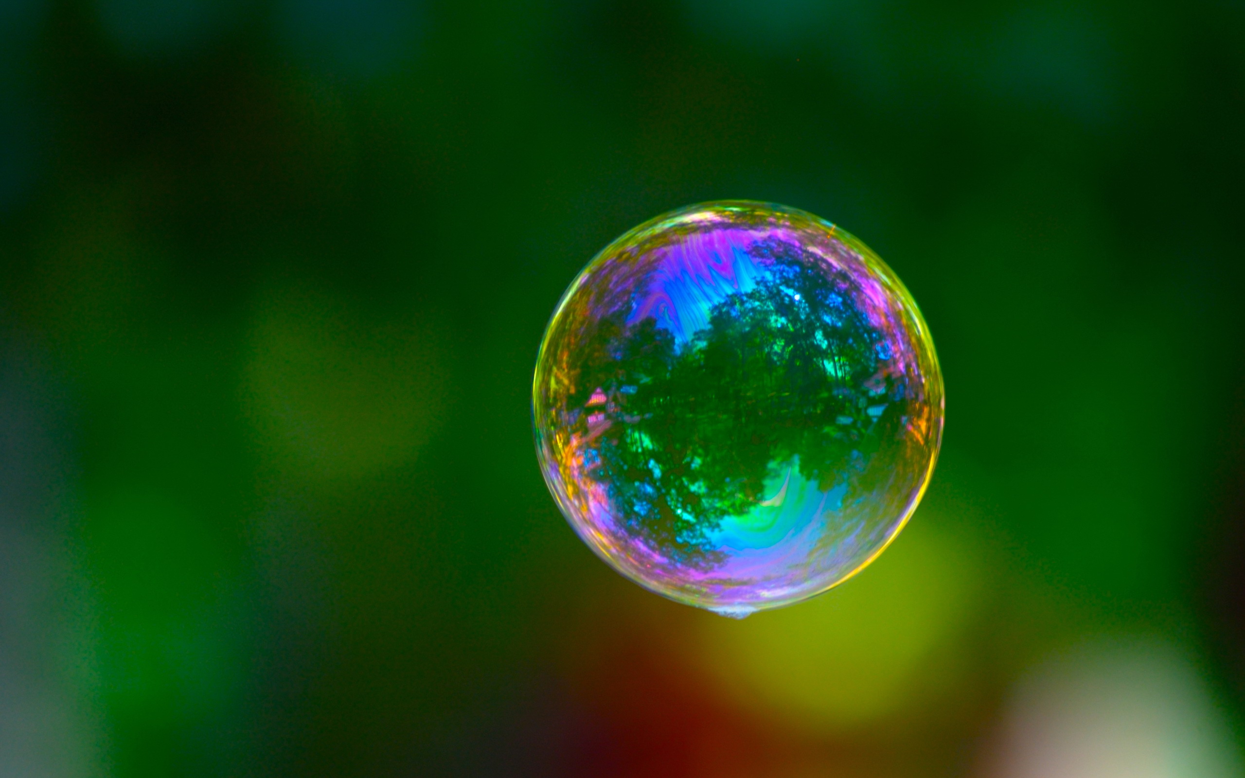 Bubble Full HD Wallpaper and Background | 2560x1600 | ID:97989