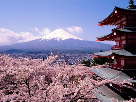 HD desktop wallpaper of Mount Fuji in Japan, featuring a traditional pagoda, cherry blossoms in the foreground, and the majestic snow-capped peak under a clear blue sky.