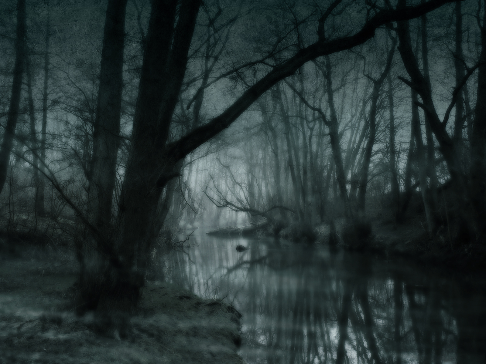 In the Bowels of the Dread Swamp: dark swamp scene.