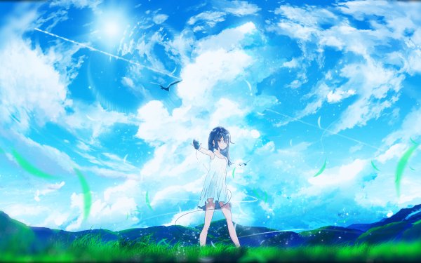 Anime Original Long Hair Blue Hair Bird HD Wallpaper | Background Image