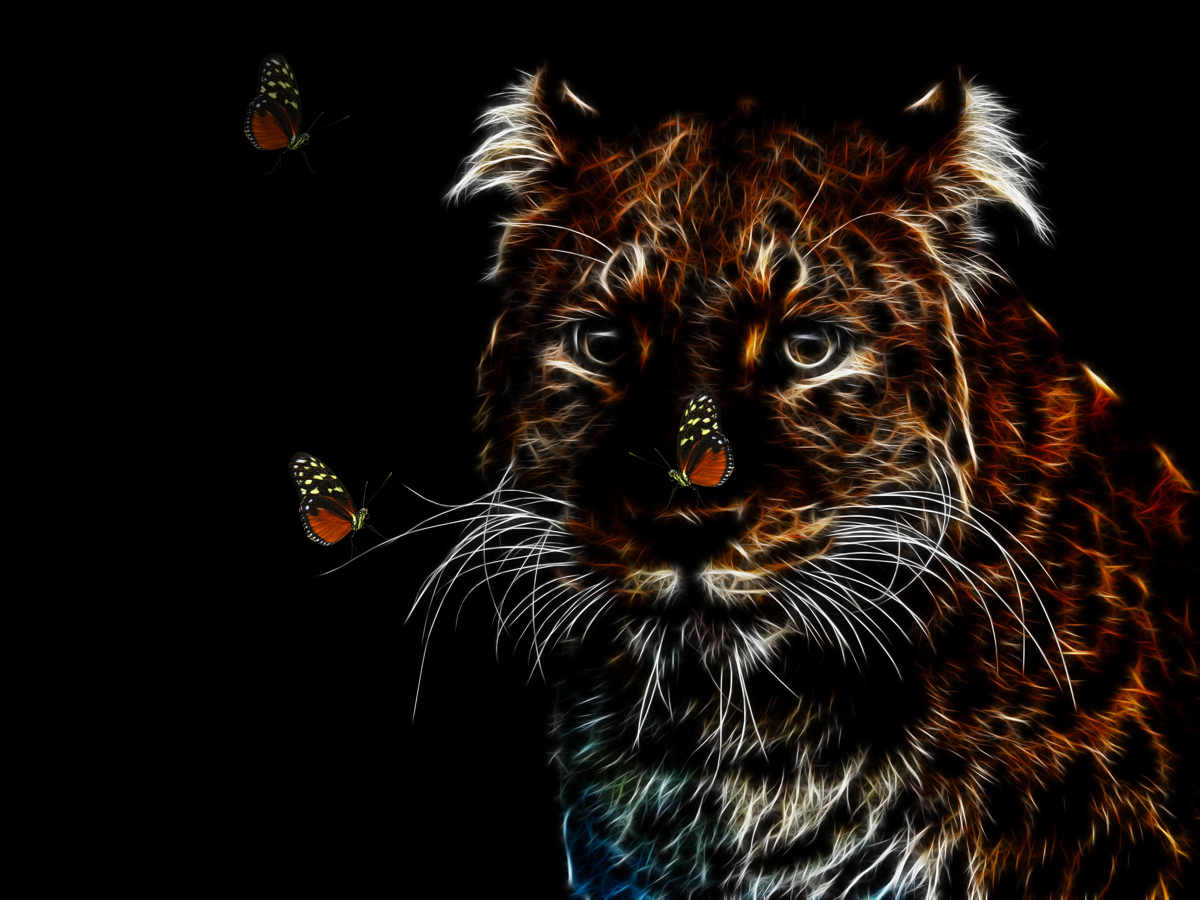 Download Animal Artistic 4k Ultra HD Wallpaper by Susanlu4esm