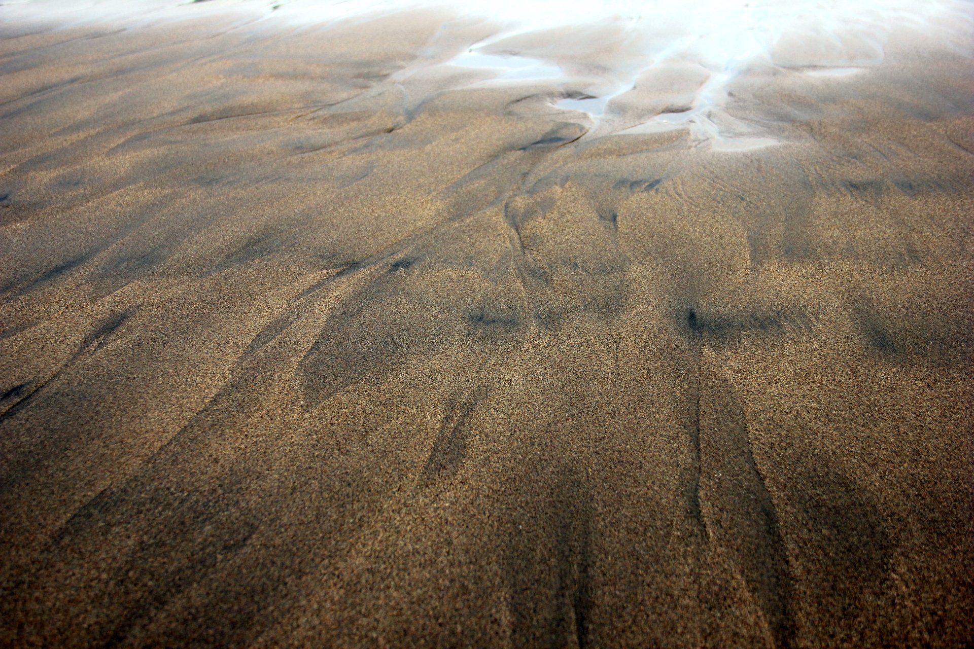 Brown Sand Beach by Nautiluss