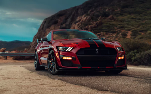 muscle car car Ford Ford Mustang Ford Mustang Shelby vehicle Ford Mustang Shelby GT500 HD Desktop Wallpaper | Background Image