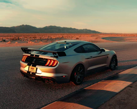 Silver Ford Mustang Shelby GT500 muscle car on a track at sunset, 4K Ultra HD desktop wallpaper background.