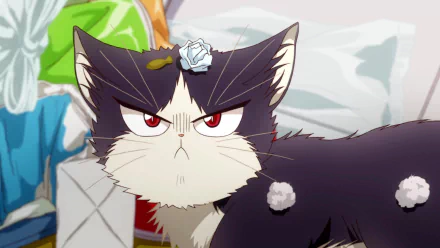 Anime My Roommate is a Cat HD Desktop Wallpaper | Background Image