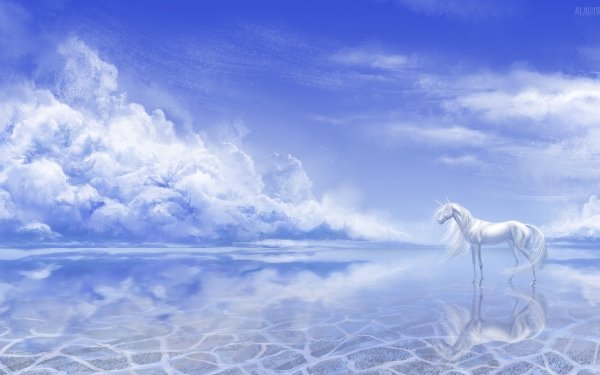 Fantasy Unicorn Fantasy Animals Reflection Cloud Sky HD Wallpaper | Background Image
