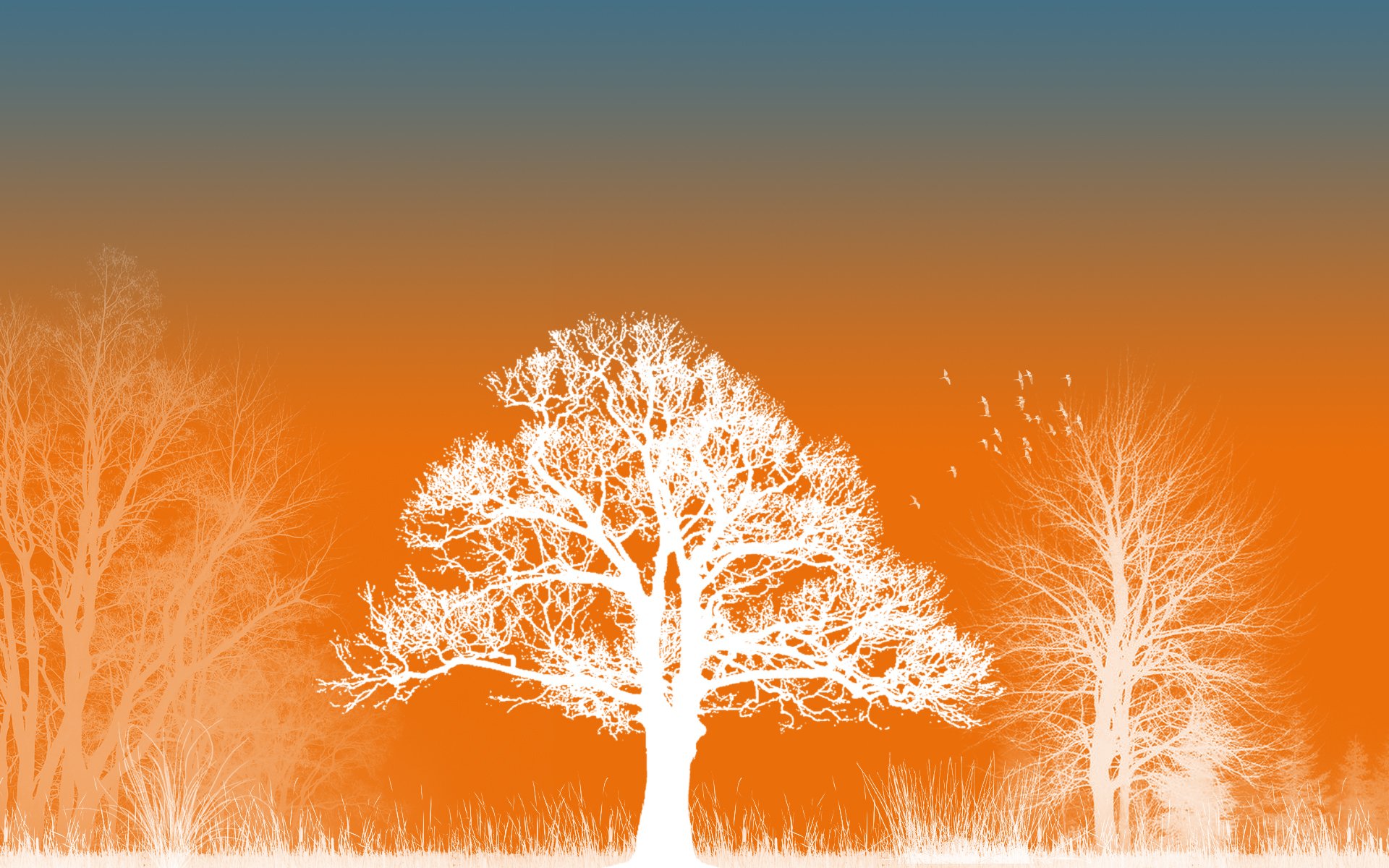 Artistic vector HD desktop wallpaper featuring white silhouetted trees against a gradient sky transitioning from orange to blue.