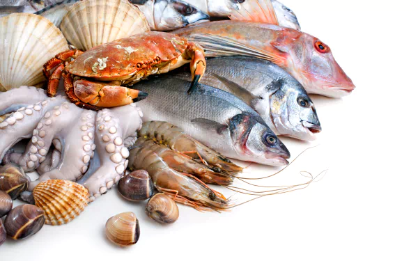 crab fish food seafood HD Desktop Wallpaper | Background Image