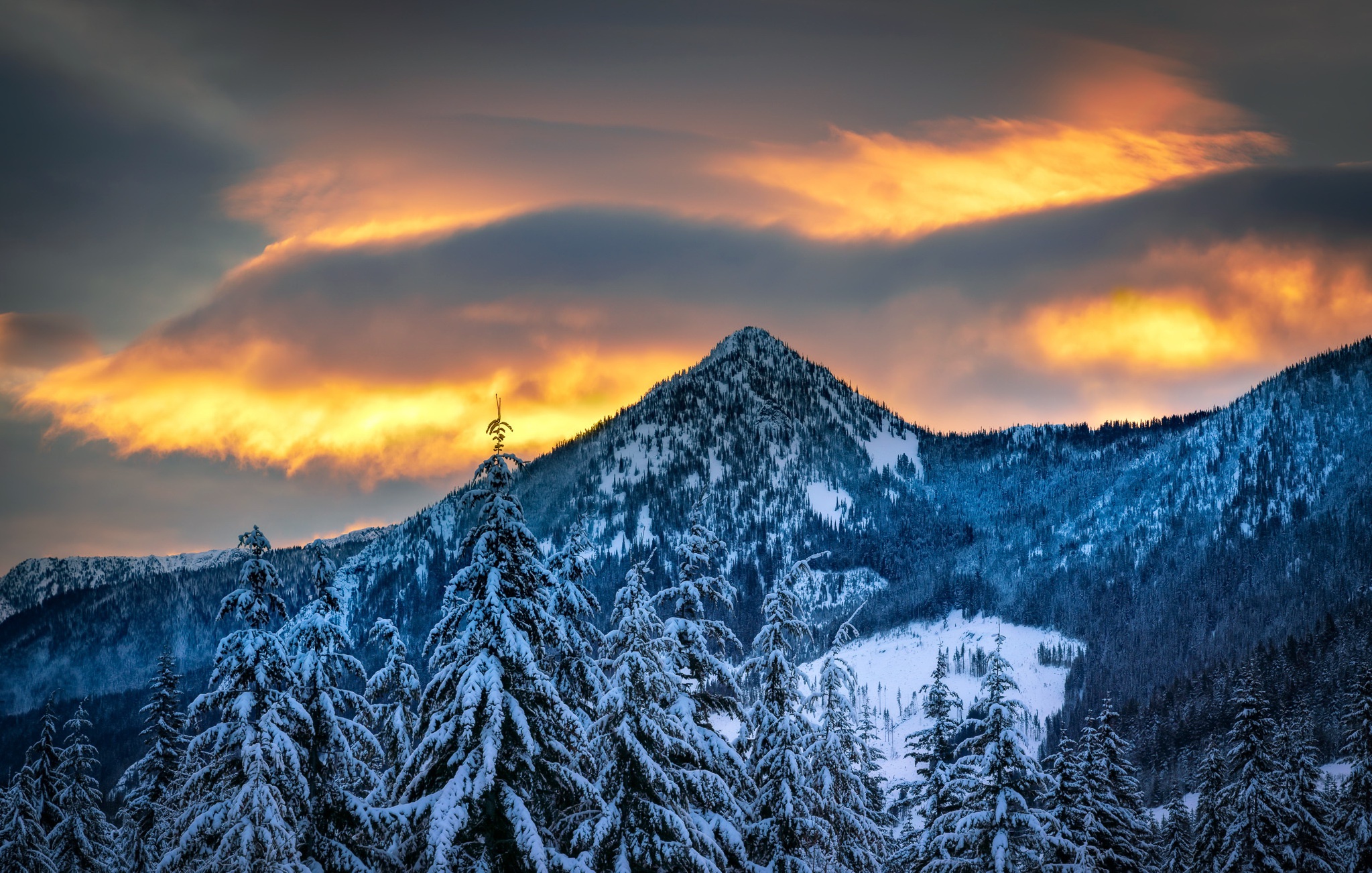 Download Forest Cloud Mountain Nature Winter HD Wallpaper