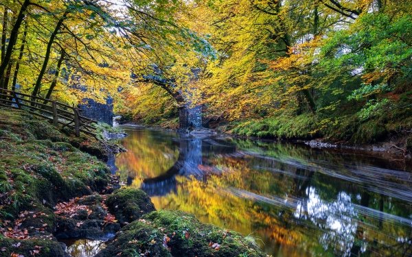 Earth River Nature Reflection HD Wallpaper | Background Image