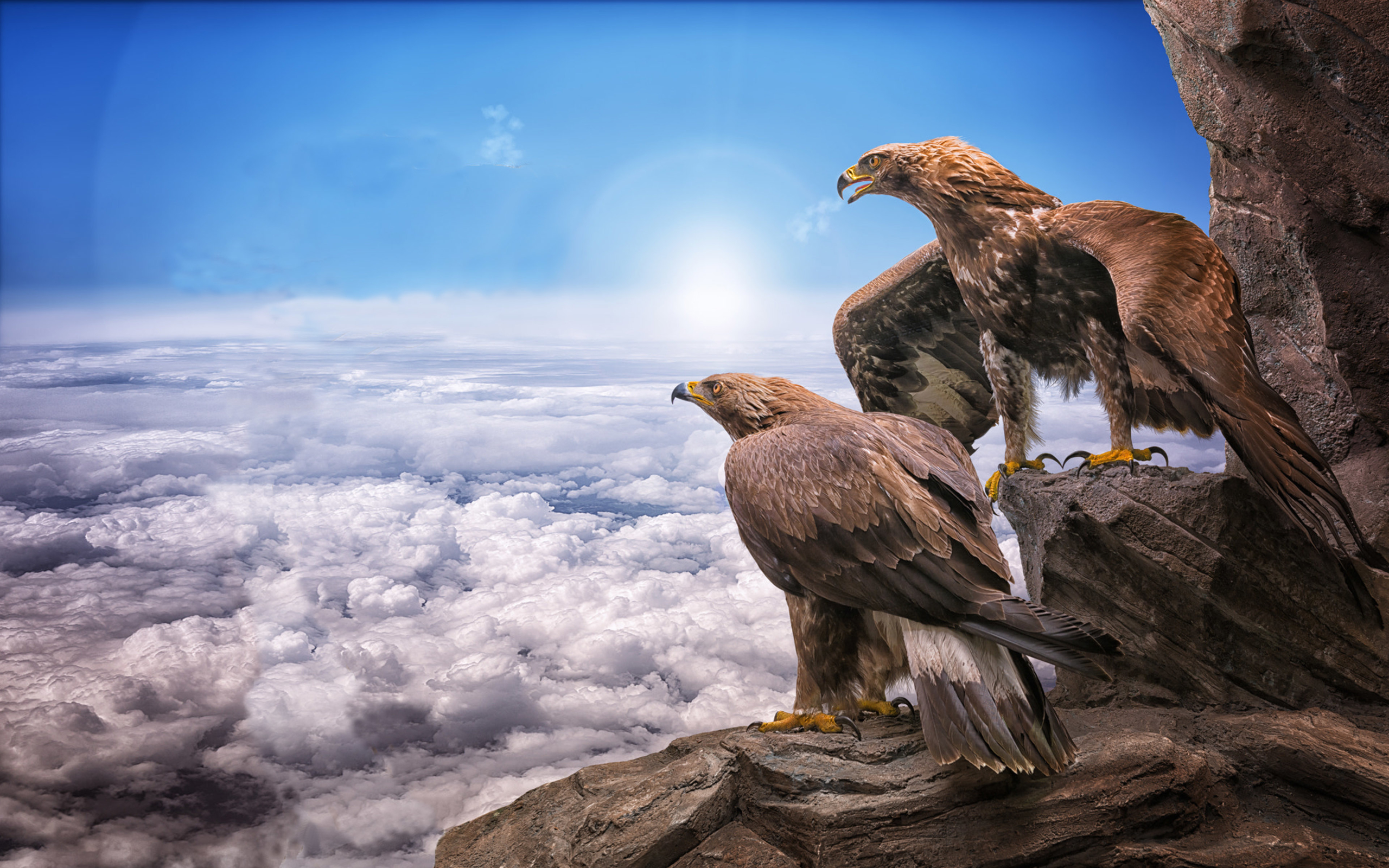 Golden Eagle HD Wallpaper