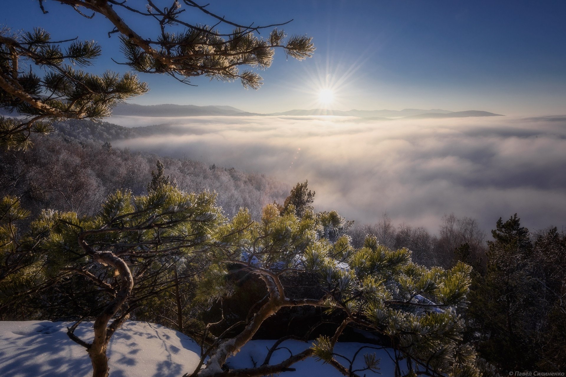 Download Sun Fog Nature Sunrise HD Wallpaper | 1920x1280 | Wallpaper Abyss