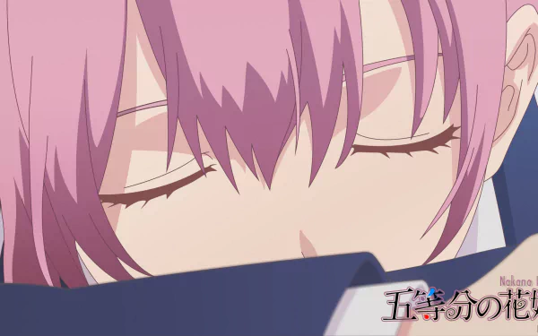 Close-up HD anime wallpaper of Ichika Nakano from The Quintessential Quintuplets with her eyes closed, showcasing detailed pink hair and soft expression.