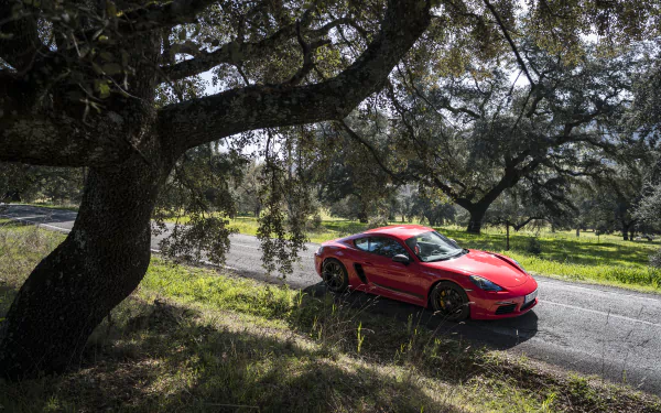 car Porsche vehicle Porsche 718 Cayman HD Desktop Wallpaper | Background Image