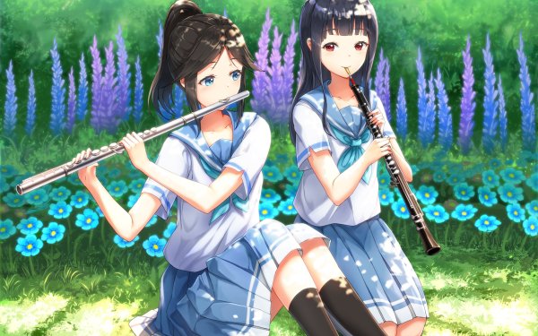 Anime Sound! Euphonium Nozomi Kasaki Mizore Yoroizuka HD Wallpaper | Background Image