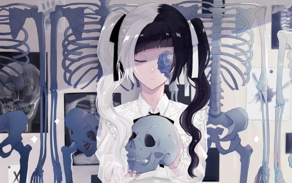 Anime Original Long Hair Twintails Black Hair White Hair Skull Two-Toned Hair HD Wallpaper | Background Image