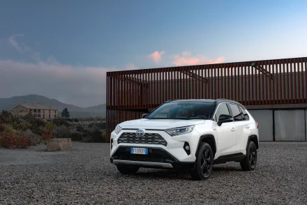 SUV white car car Toyota vehicle Toyota RAV4 HD Desktop Wallpaper | Background Image
