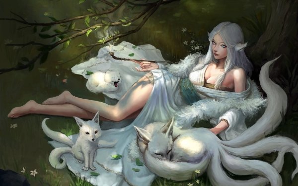 Fantasy Women Fox White Hair HD Wallpaper | Background Image