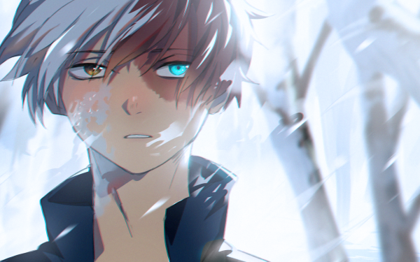 Anime My Hero Academia Shoto Todoroki HD Wallpaper | Background Image