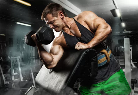 muscle weightlifting Sports HD Desktop Wallpaper | Background Image