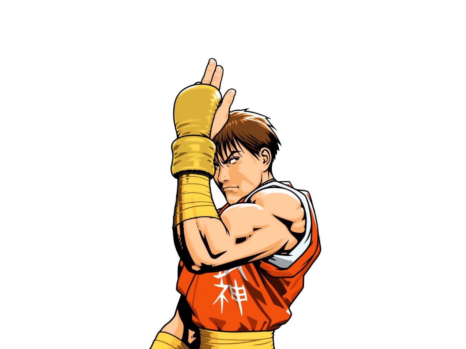 Download Video Game Street Fighter Guy (Street FIghter) Wallpaper