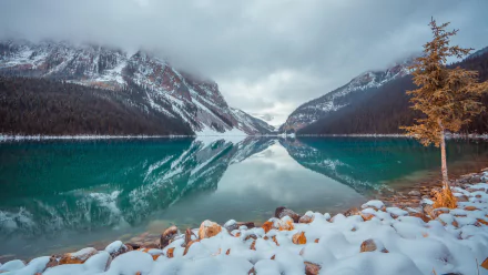 HD desktop wallpaper featuring a stunning, snowy winter scene at Lake Louise. The image showcases the lake's serene waters reflecting snow-capped mountains and a cloudy sky, set in a beautiful natural landscape.