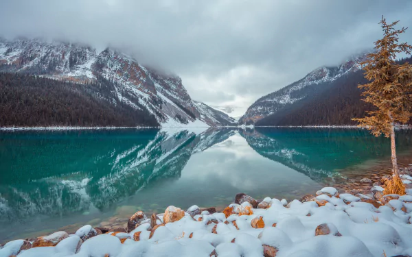 HD desktop wallpaper featuring a stunning, snowy winter scene at Lake Louise. The image showcases the lake's serene waters reflecting snow-capped mountains and a cloudy sky, set in a beautiful natural landscape.